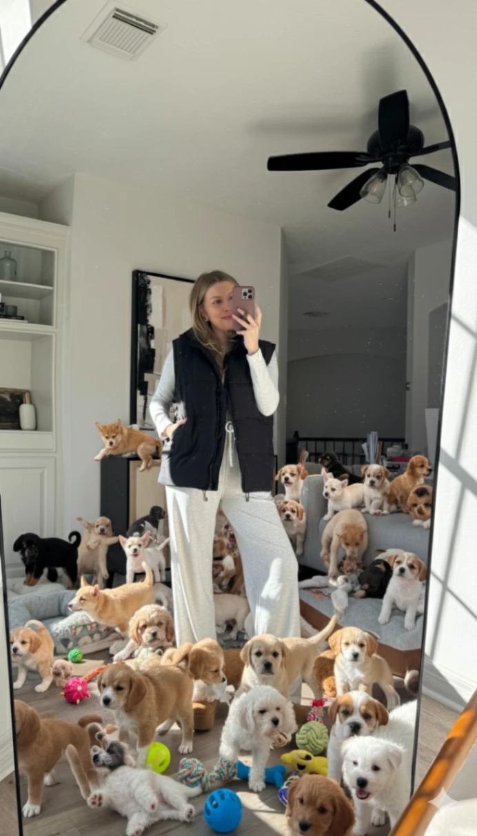 Mirror Reflection (Puppy Room) AI generated image example
