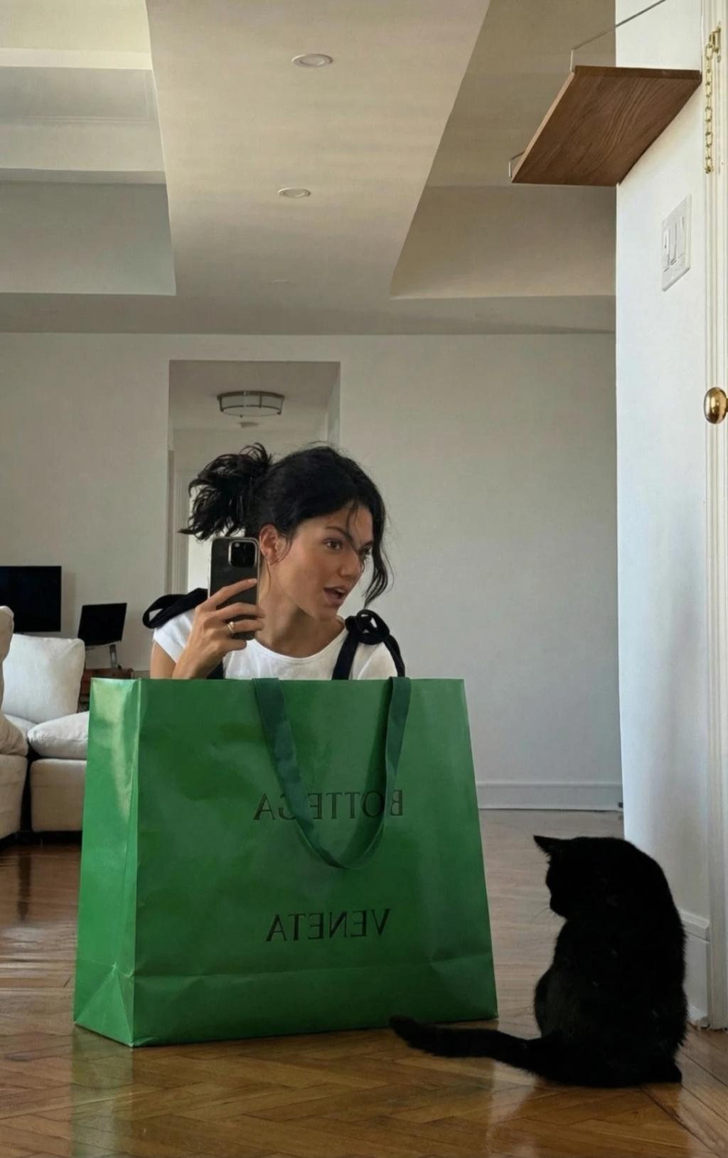 Inside the Shopping Bag AI generated image example