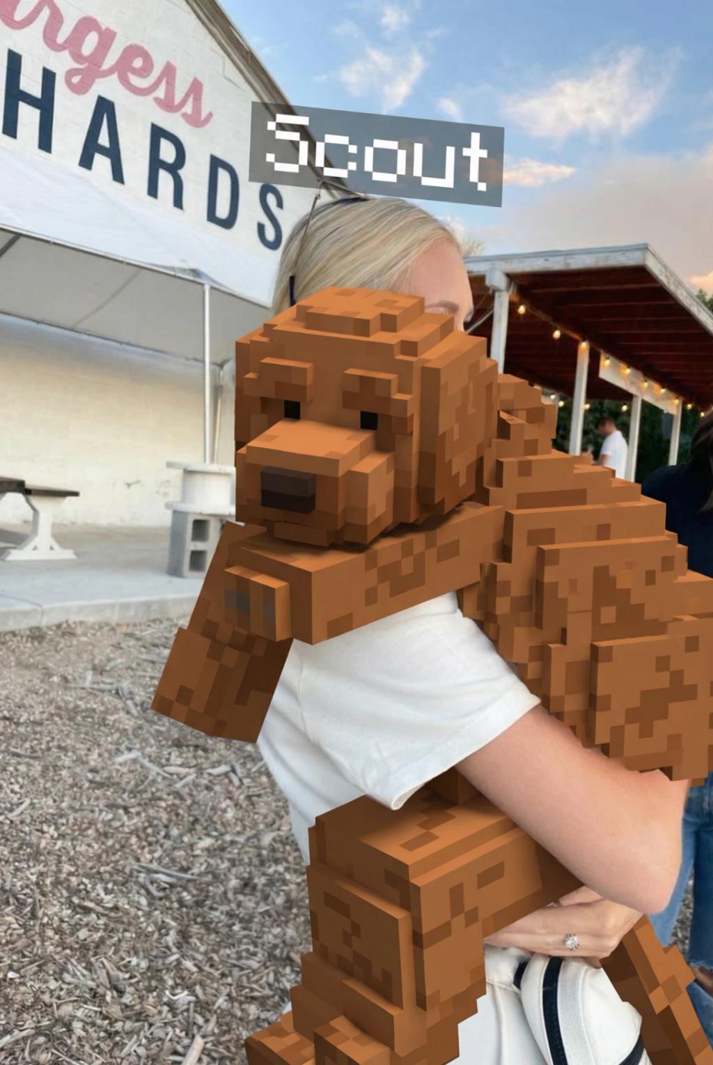 Minecraft Pet Transformation AI generated image example