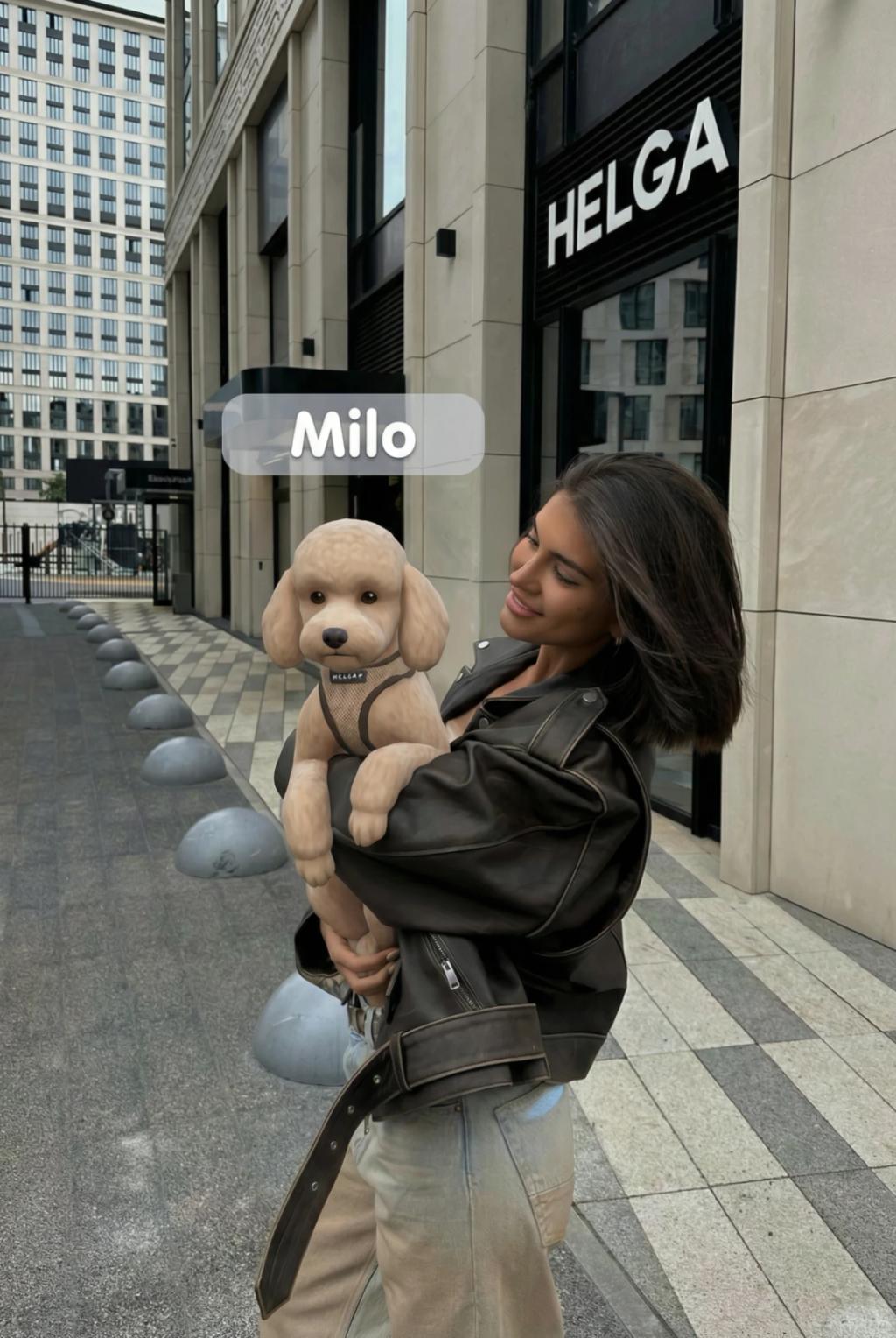 The Sims Pet Transformation AI generated image example