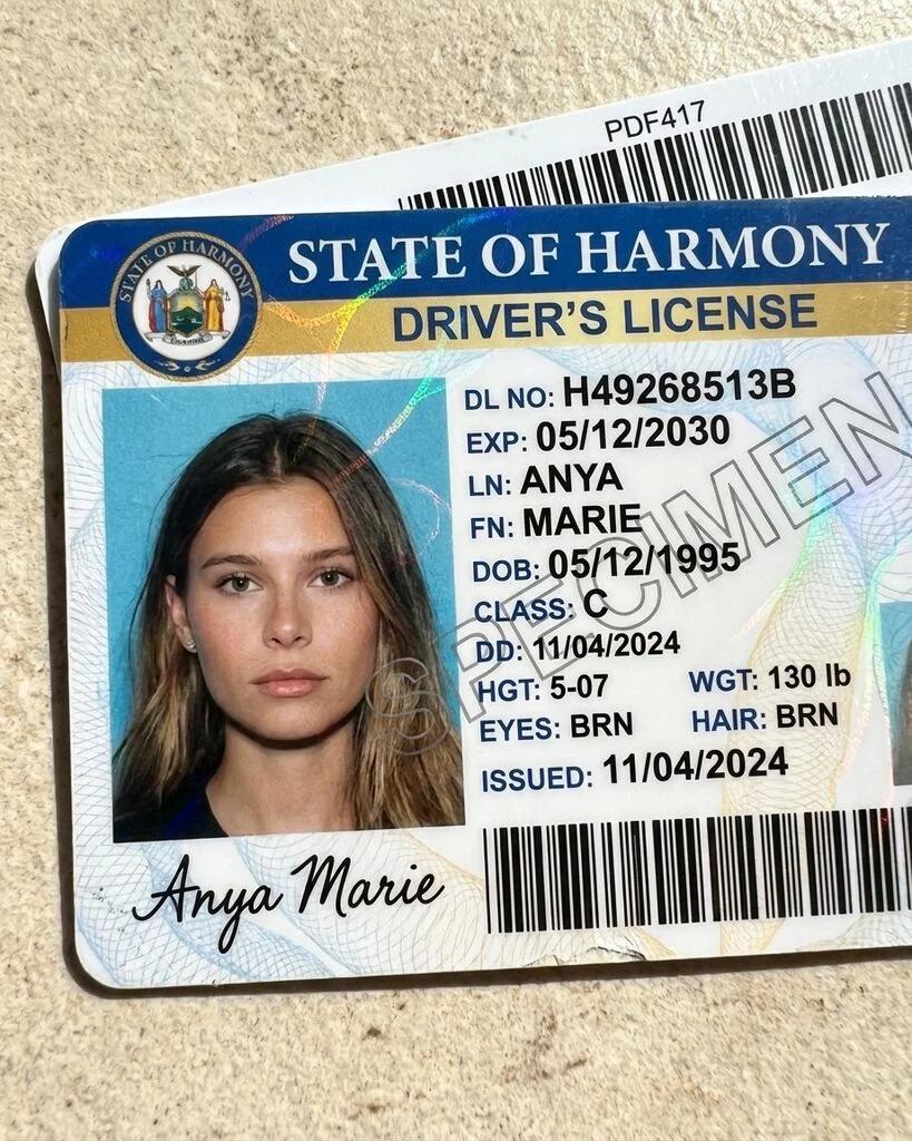 Drivers License ID Card Portrait AI generated image example